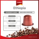 Torrie_Etiopia_1-Photoroom